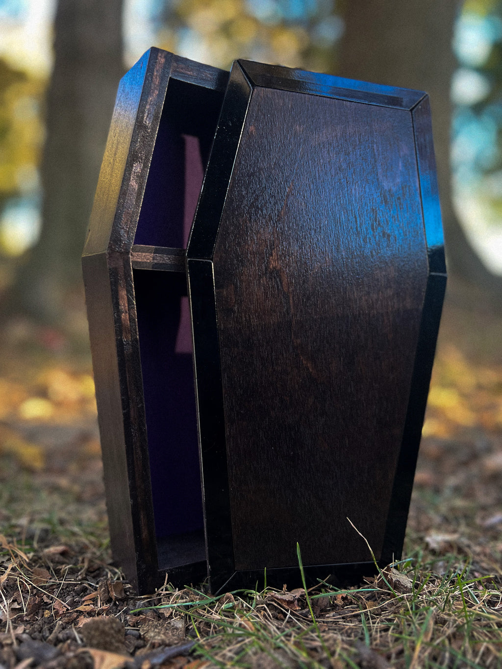 Sav's Coffin
