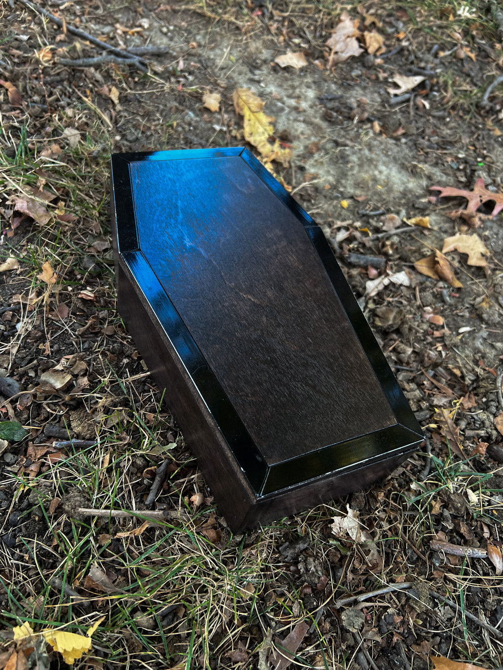 Sav's Coffin