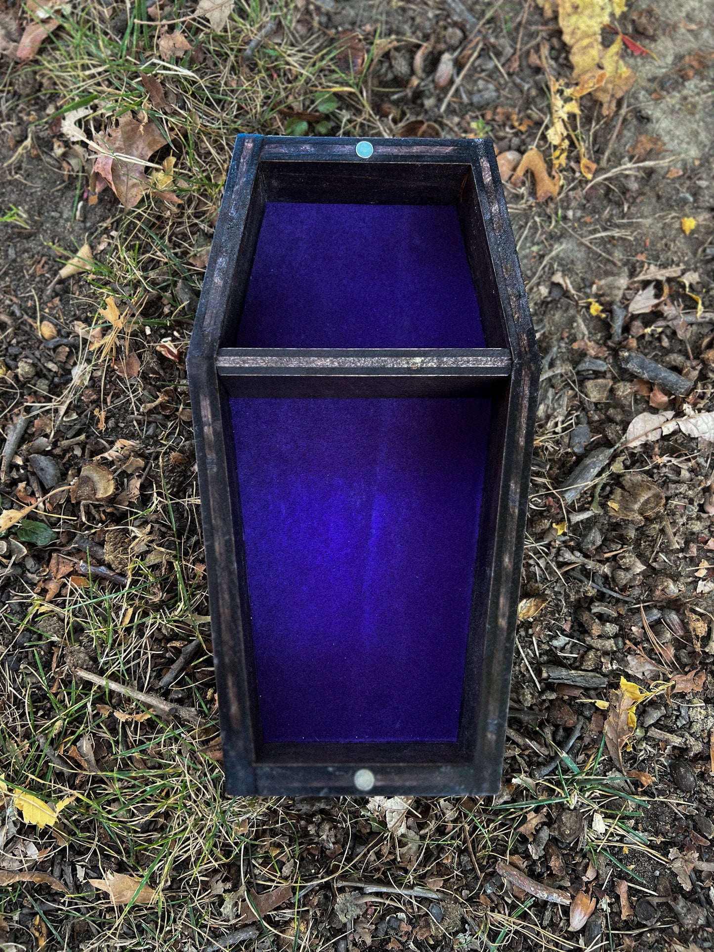 Sav's Coffin