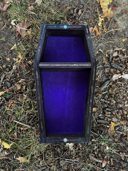 Sav's Coffin